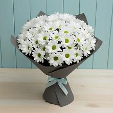Букет цветов из:  Хризантемы #REPLACE_PRED# Новопашковской