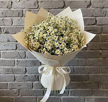 Букет цветов из:  Ромашки #REPLACE_PRED# Новопашковской