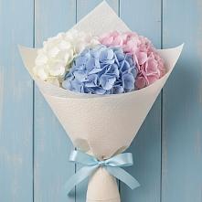 Букет цветов из:  Гортензия в Новопашковской