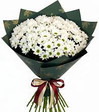 Букет цветов из:  Хризантемы #REPLACE_PRED# Новопашковской