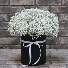 Цветочная композиция из Гипсофила в шляпной коробке в Новопашковской