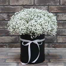 Цветочная композиция из Гипсофила в шляпной коробке в Новопашковской