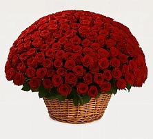 Премиум букет из: Розы в Новопашковской