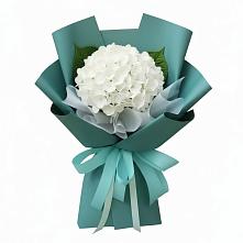 Букет цветов из:  Гортензия в Новопашковской
